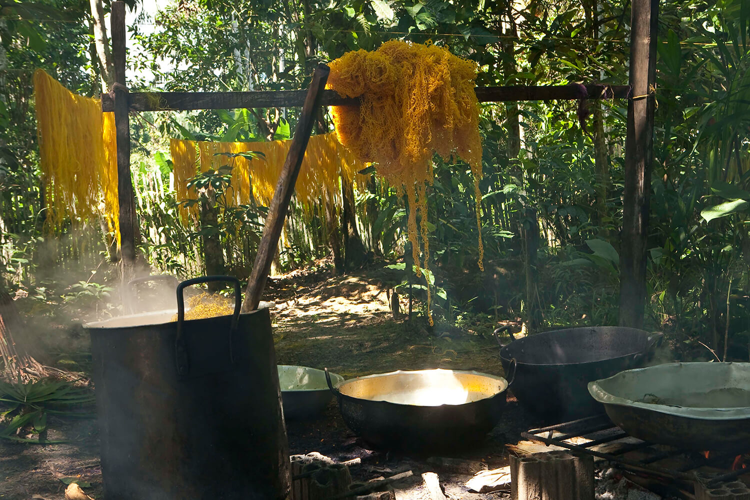 CURCUMA_galeria 29_MG_6064.jpg